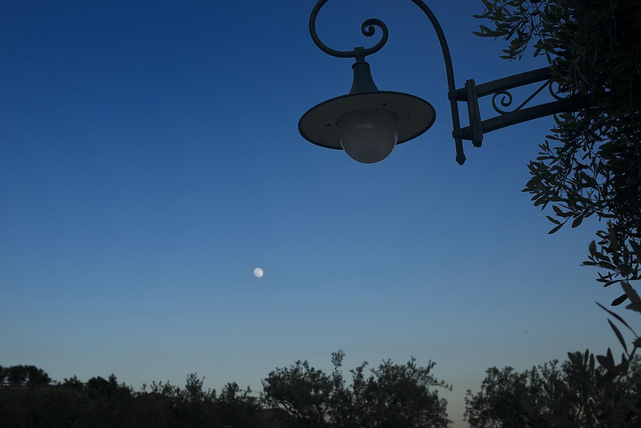Villa La Pianella Massarosa Buitenkant foto